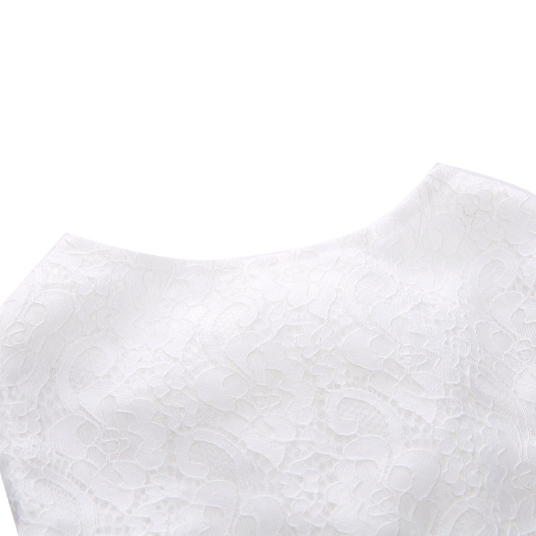 Pet Formal Dress  Dog Wedding Dress Lace Tulle Gown with Rose Accents